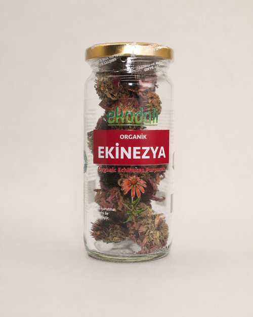 Organik Echinacea purpurea kurutulmuş ekinezya çayı